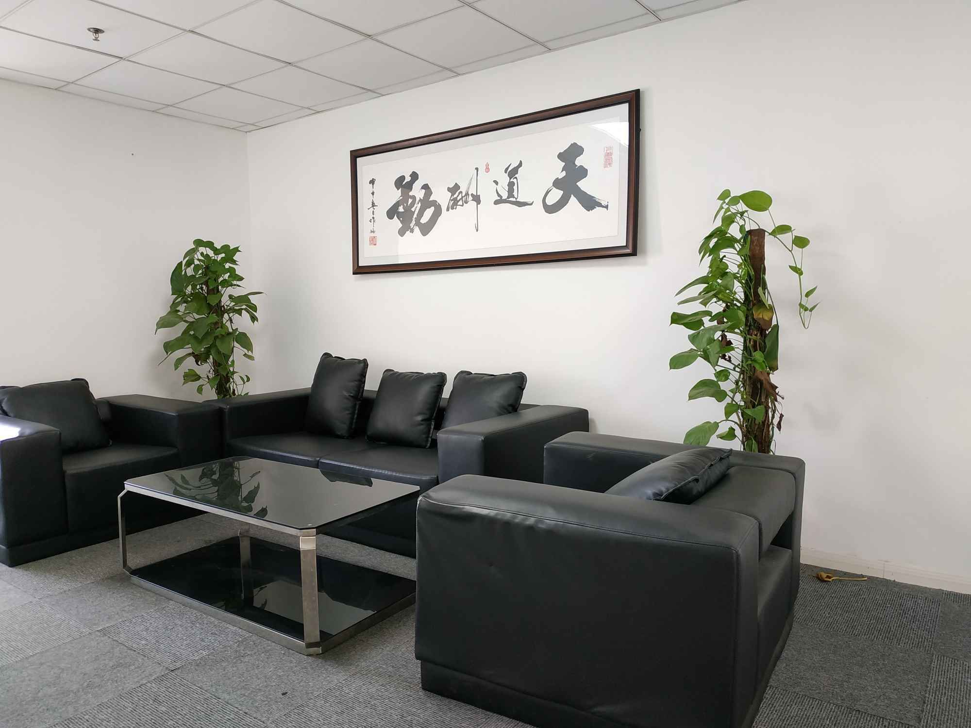 苏河1号静安 苏河1号 350平米 精装修