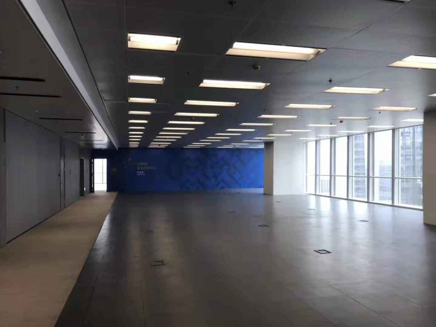 星扬西岸中心徐汇 星扬西岸中心 2550平米 简装修