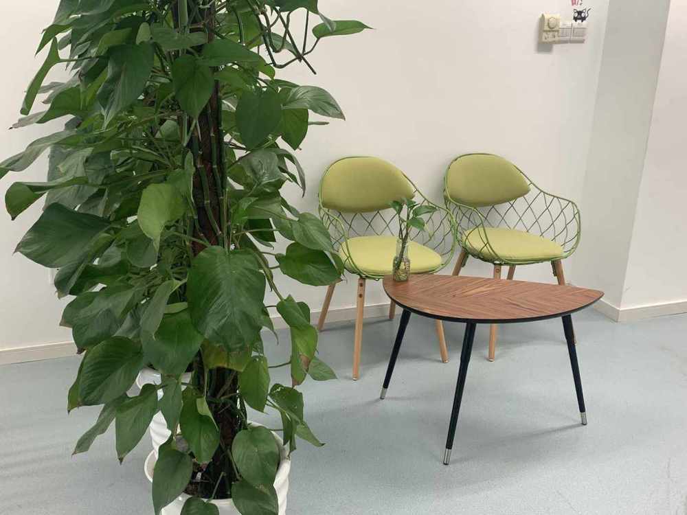 新漕河泾国际商务中心徐汇 新漕河泾国际商务中心 278平米 精装修