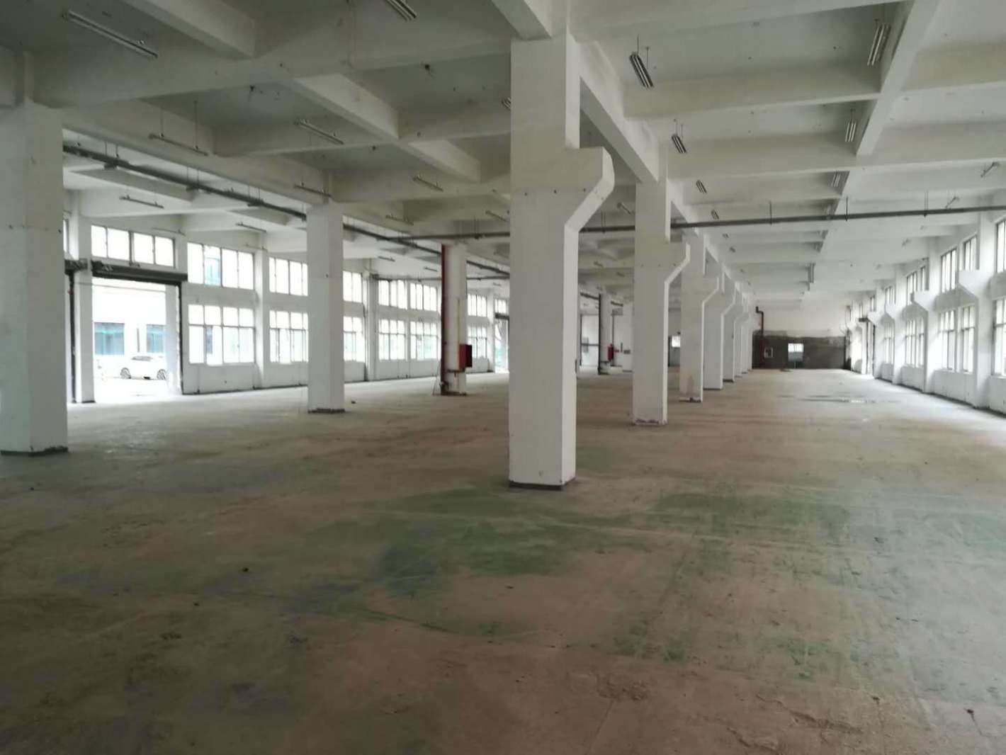 浦东 康桥东路1369号东门 136平米 简装修