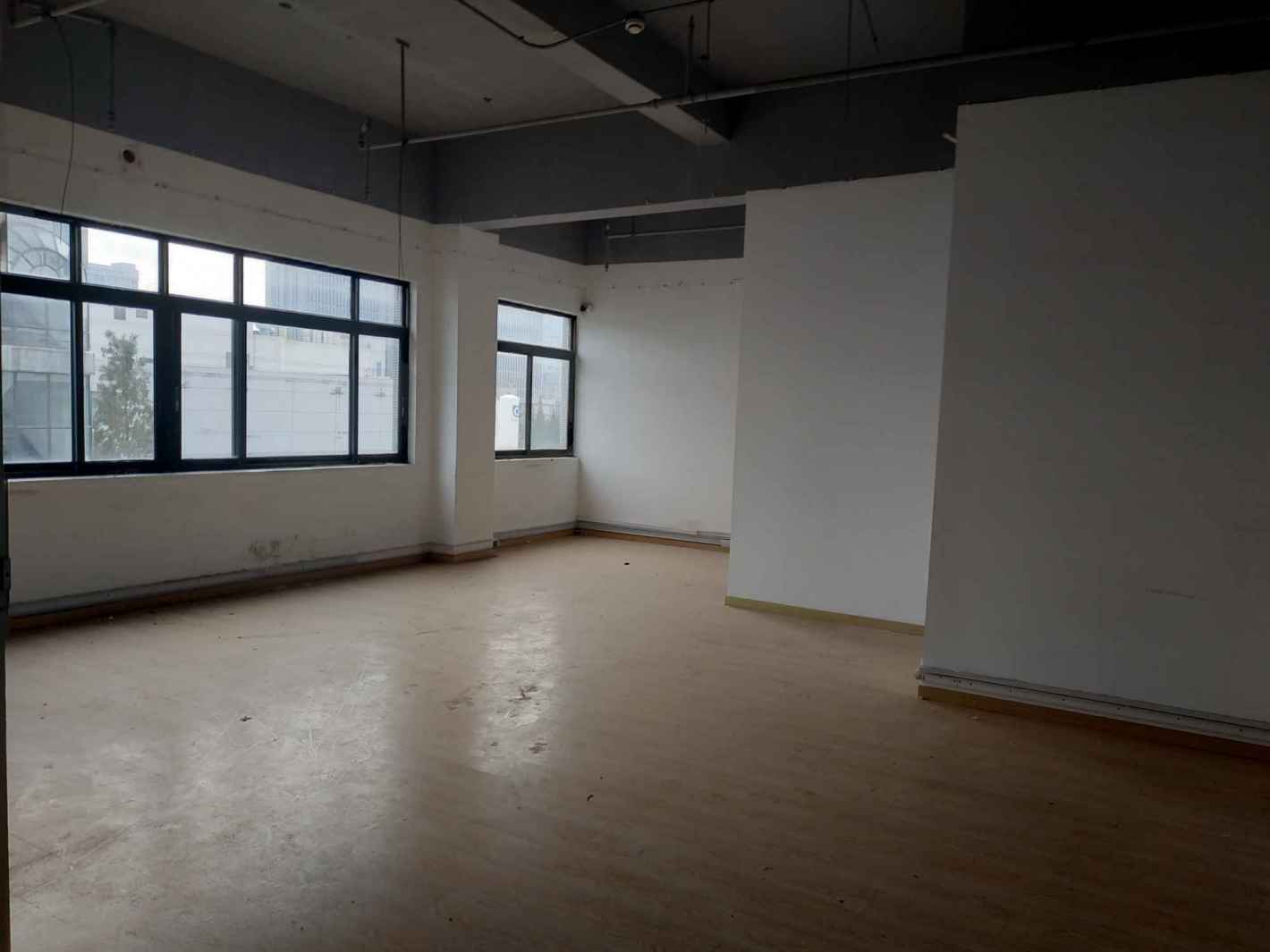 虹漕园徐汇 虹漕园 150平米 毛坯