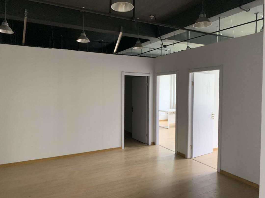 长江软件园宝山 长江软件园 184平米 简装修