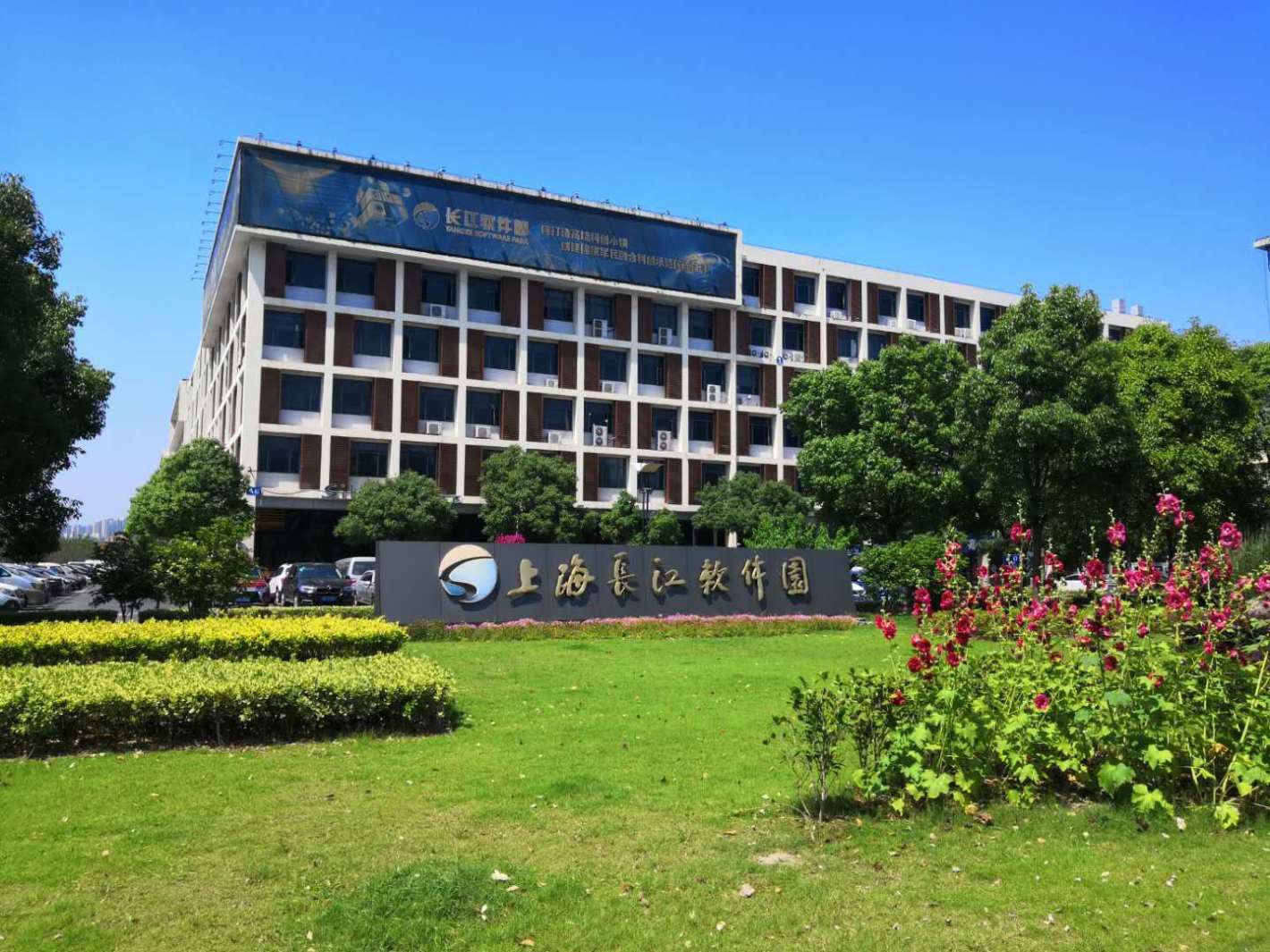 长江软件园宝山 长江软件园 184平米 简装修