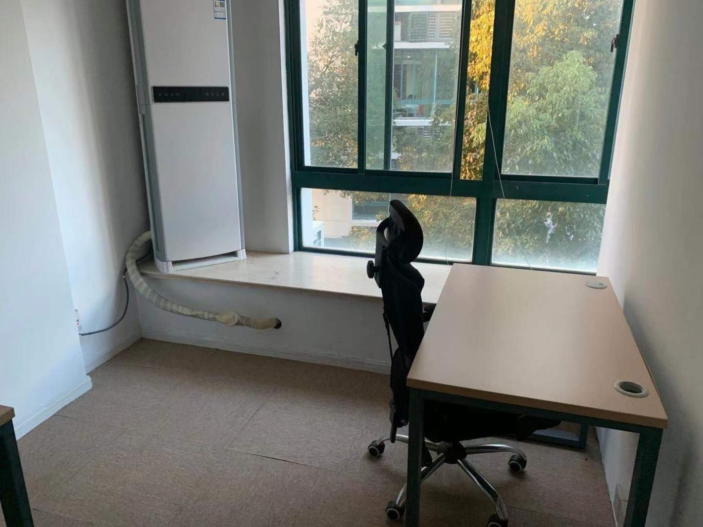 东华大学国家大学科技园长宁 东华大学国家大学科技园 78平米 精装修