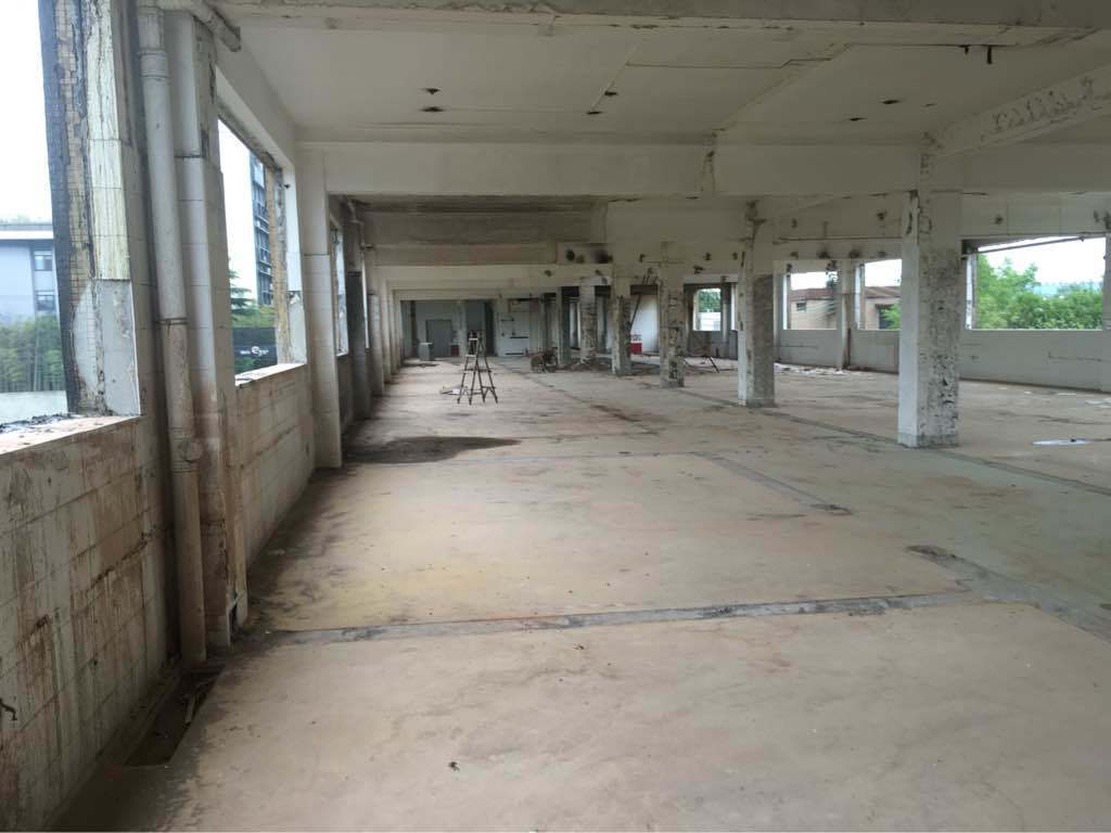 徐汇·大树下221平米办公室出租-租金价格3.00元/m²/天