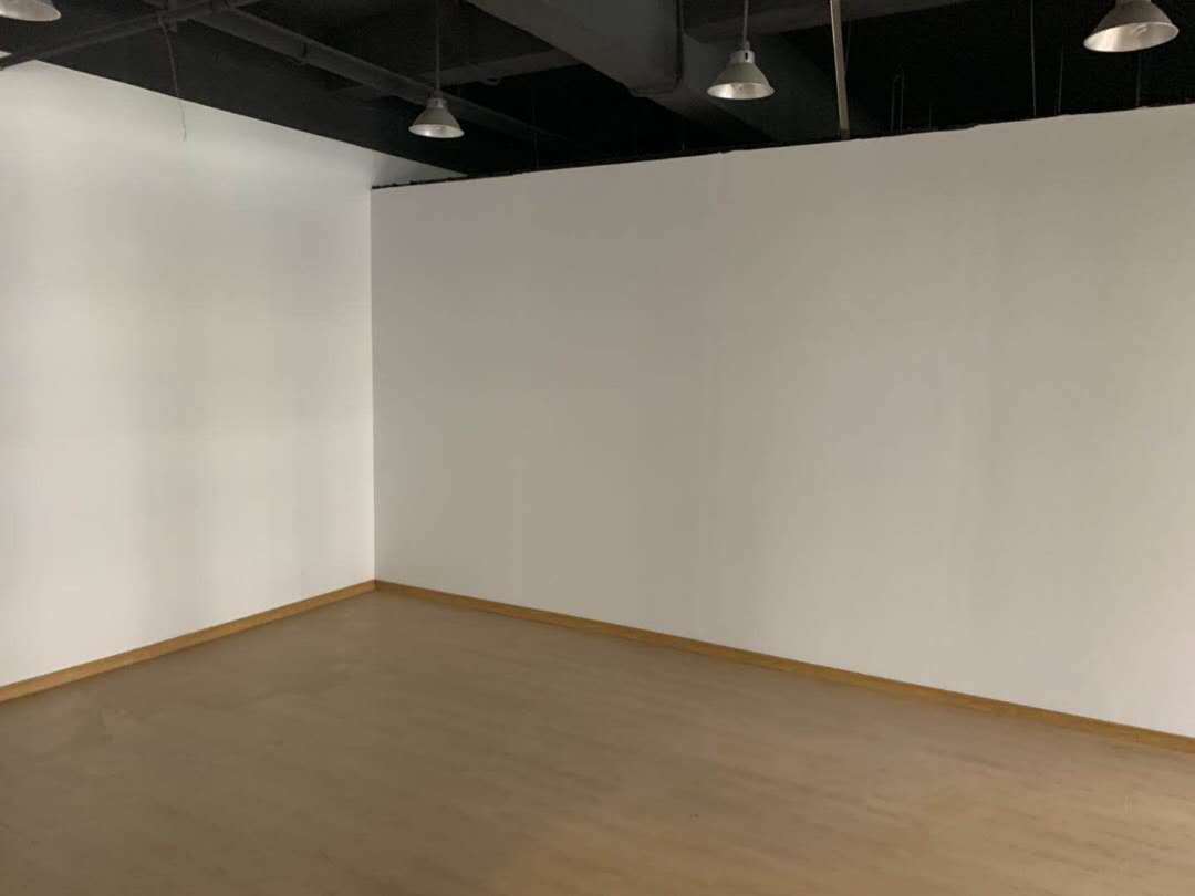 长江软件园宝山 长江软件园 184平米 简装修