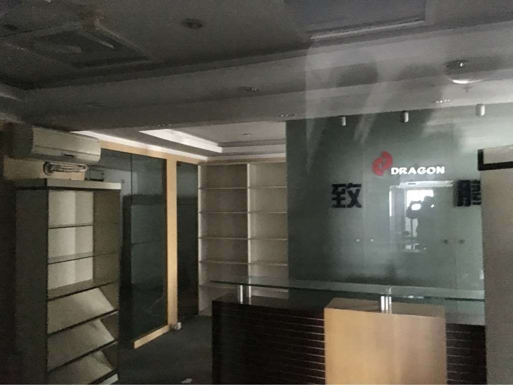 上海望族城徐汇漕宝路地铁站上海望族城531平，精装修
