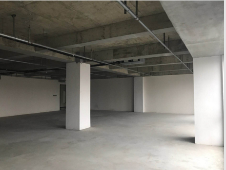 北岸长风长风生态商务区 北岸长风 380平米