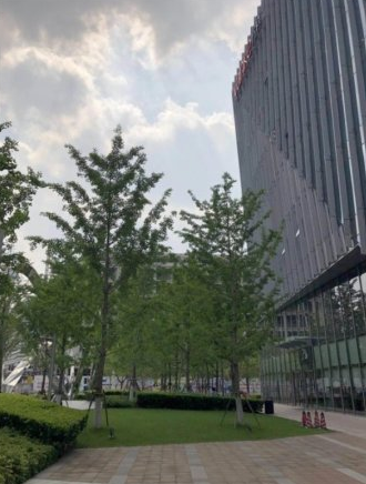 虹桥万科中心长宁 虹桥万科中心 123平米 豪华装修