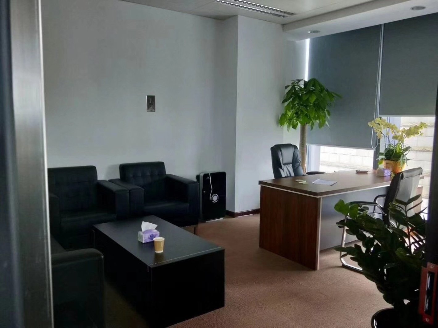 上海绿地中心徐汇 上海绿地中心 152平米 精装修