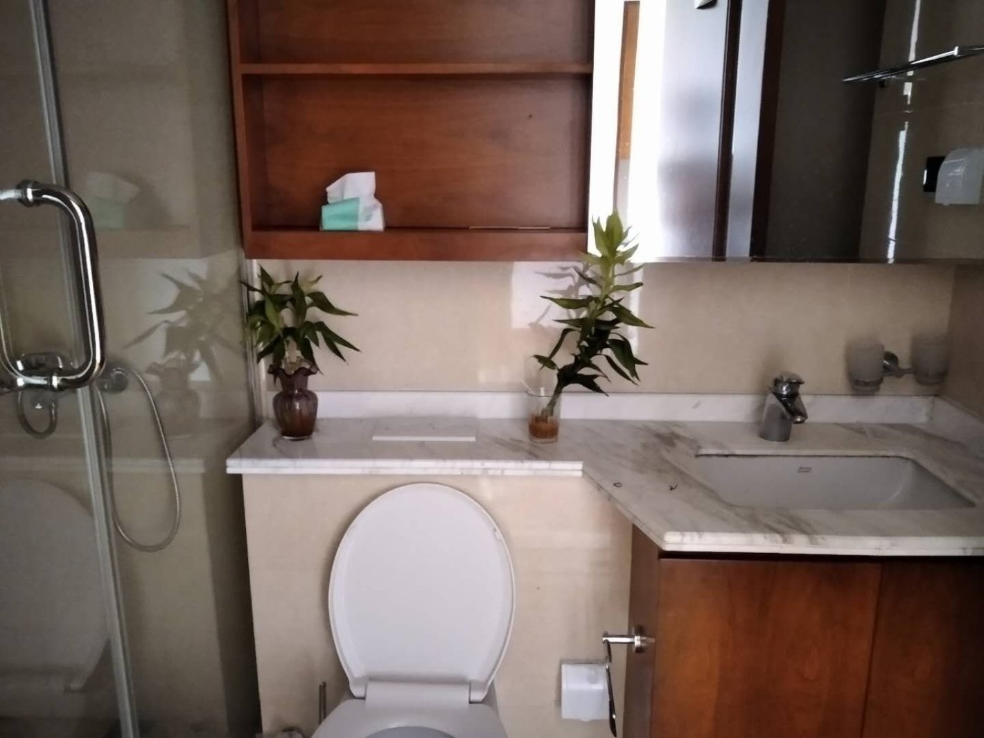 日月光伯爵居黄浦 日月光伯爵居 72平米 精装修