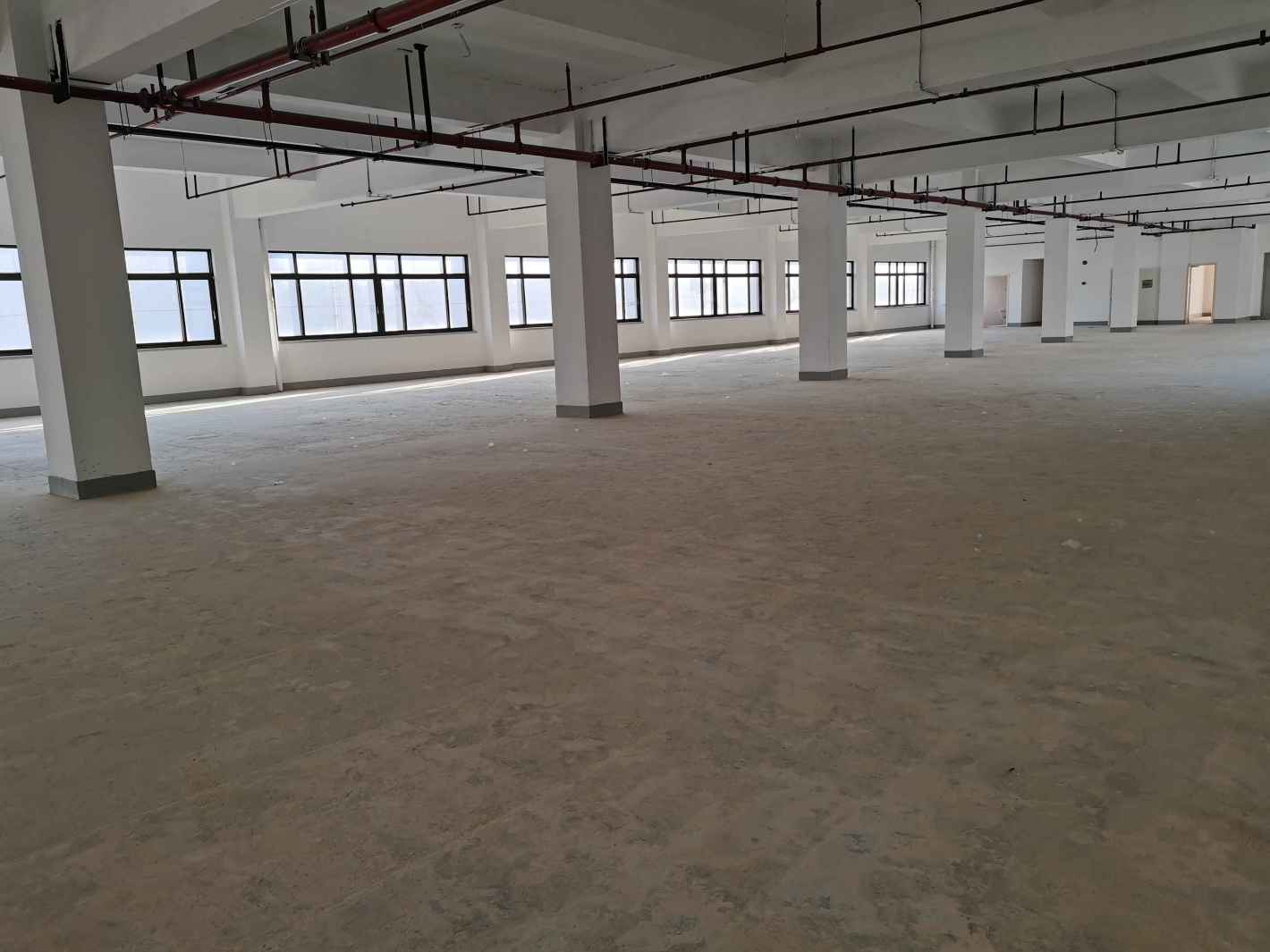 虹漕园徐汇 虹漕园 1339平米 简装修