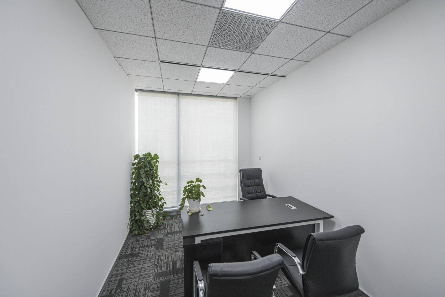 中信广场虹口 中信广场 265平米 中等装修