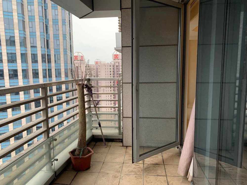 日月光伯爵居黄浦 日月光伯爵居 137平米 毛坯