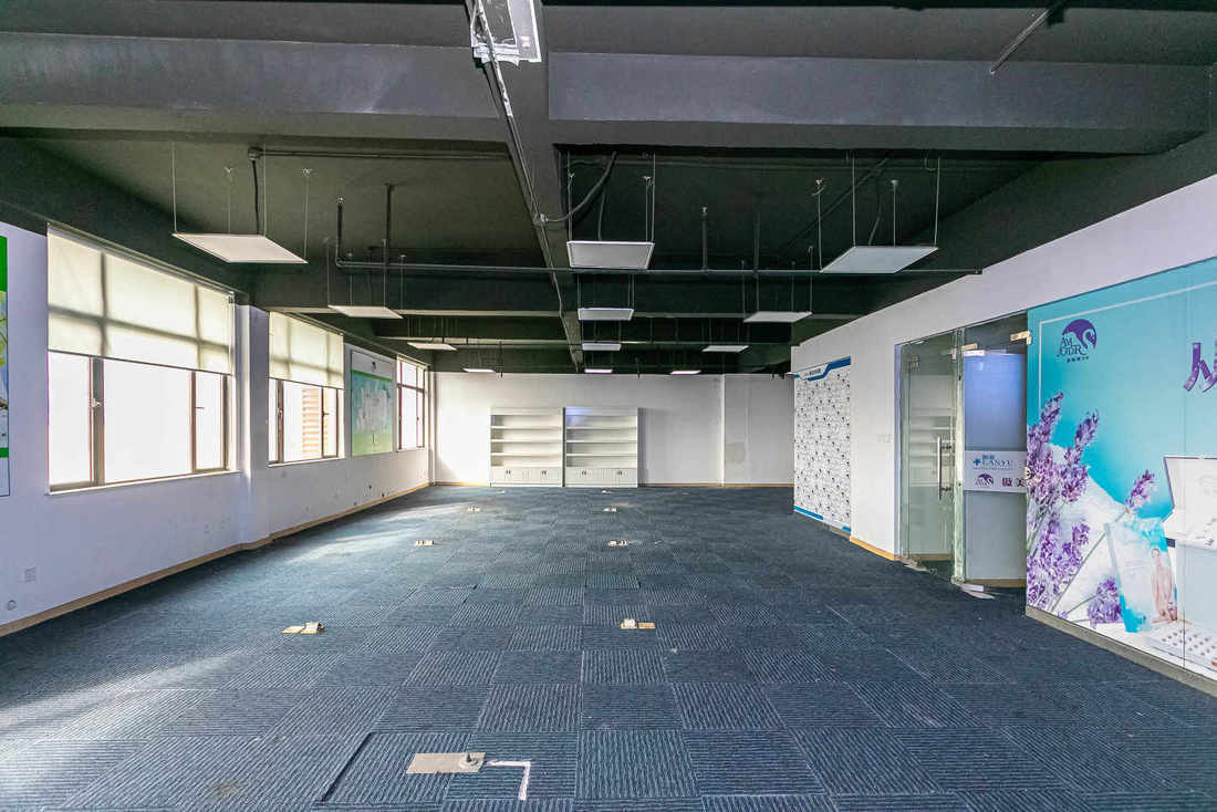 长江软件园宝山 长江软件园 218平米 中等装修