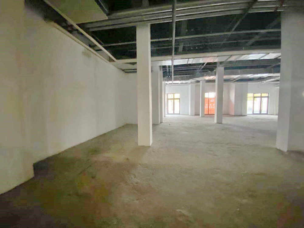 越界·世博园黄浦 越界·世博园 375平米 毛坯