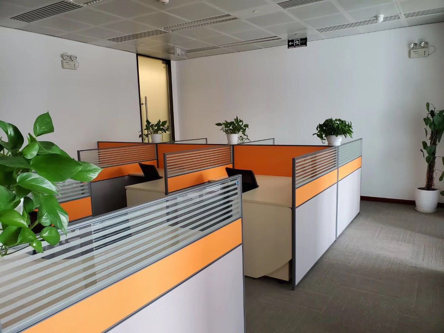 中国人寿金融中心浦东 中国人寿金融中心 290平米 精装修