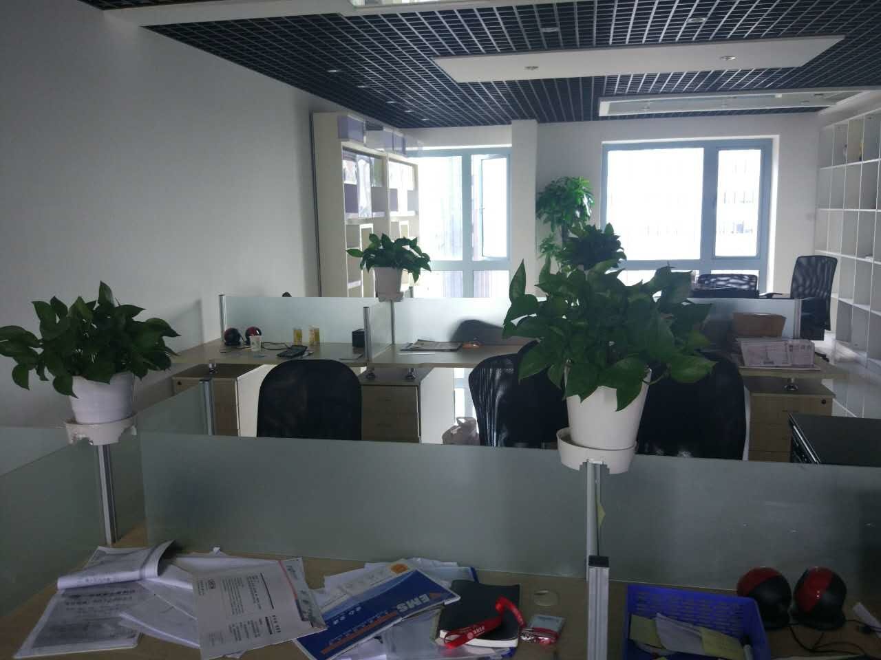 远洋合星大厦普陀 远洋合星大厦 236平米 精装修