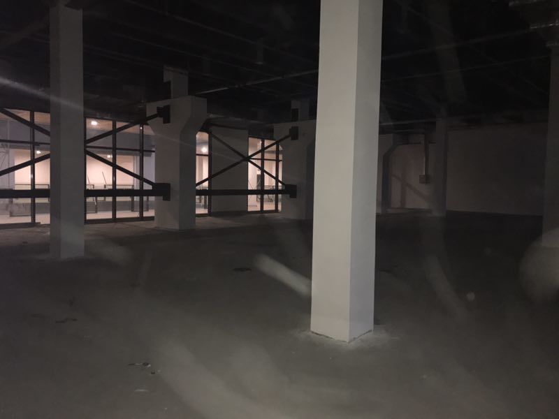 越界·世博园黄浦 越界·世博园 435平米 毛坯