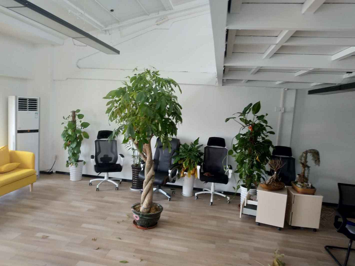 昇Park创意产业园宝山 昇Park创意产业园 77平米 精装修