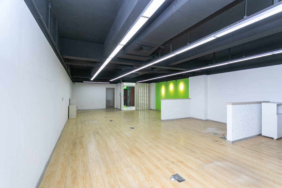 莱茵虹桥中心闵行 莱茵虹桥中心 186平米 精装修