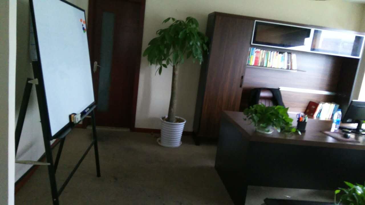 国盛中心普陀 国盛中心 214平米 精装修