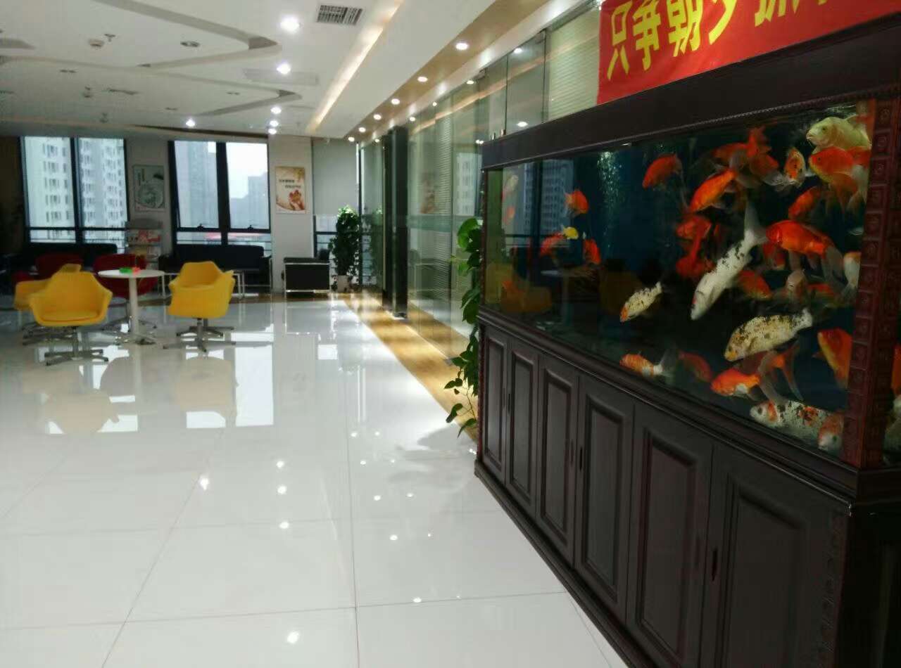 浦江智谷商务园闵行 浦江智谷商务园 588平米 精装修