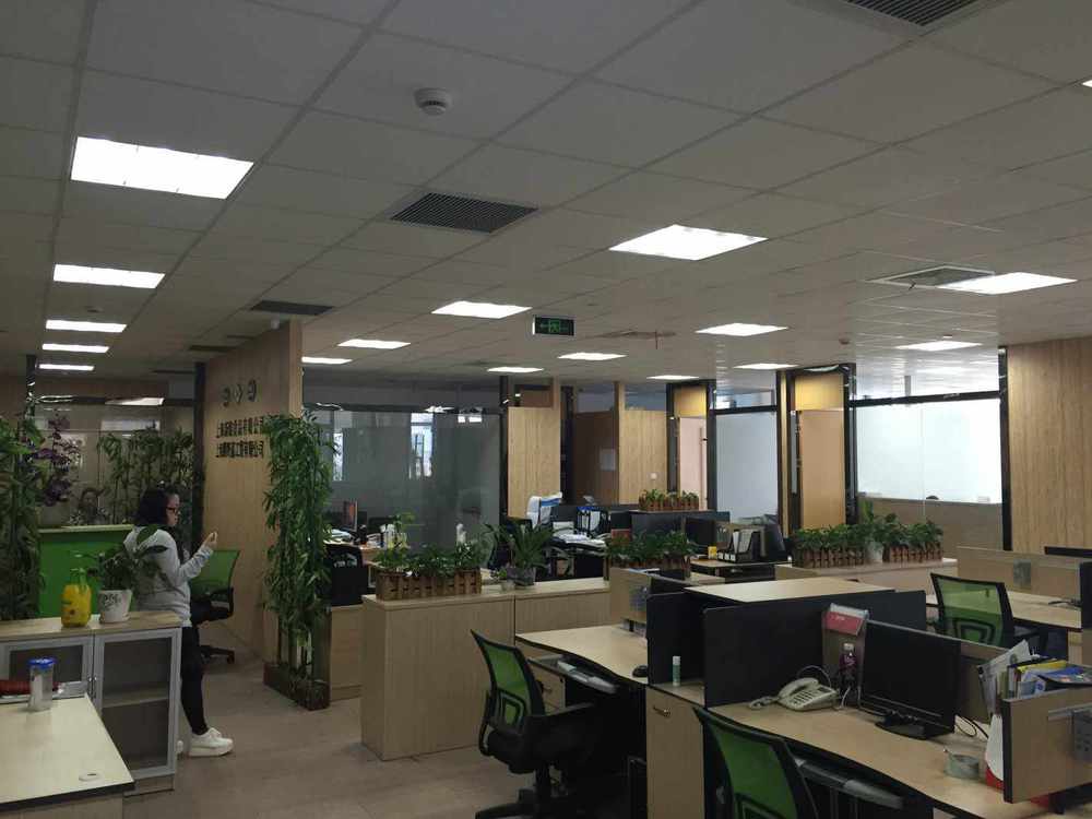 北岸长风普陀 北岸长风 430平米 精装修