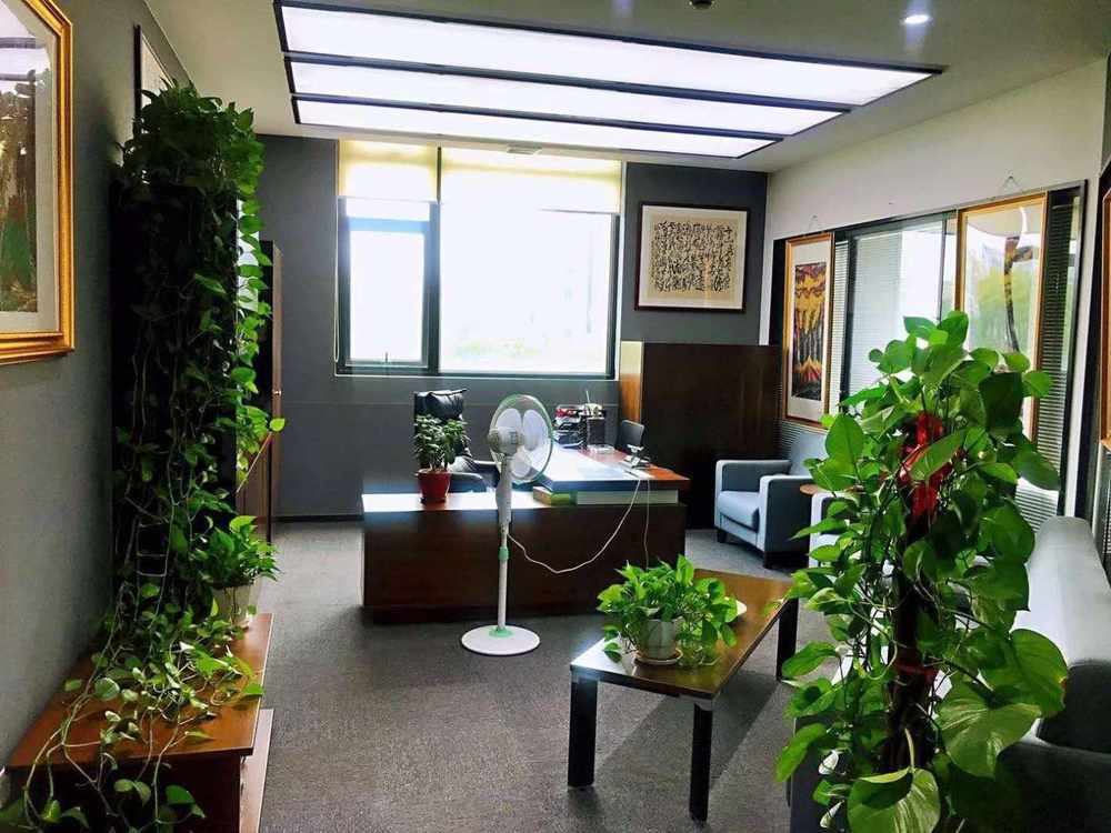 惠达商务园徐汇 惠达商务园 106平米 精装修