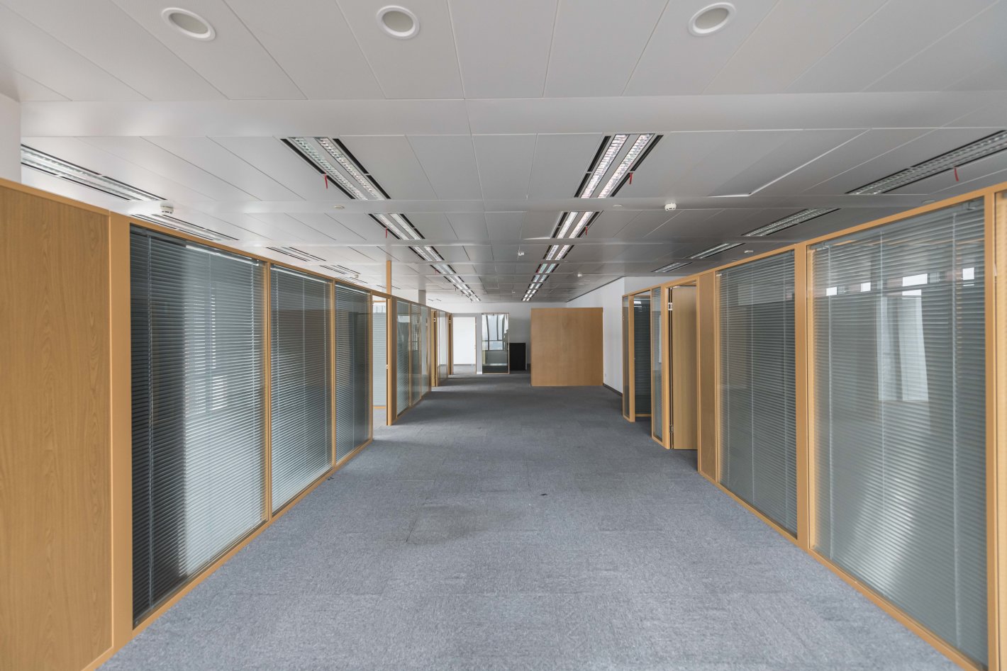 东方蓝海国际广场杨浦 东方蓝海国际广场 278平米 中等装修