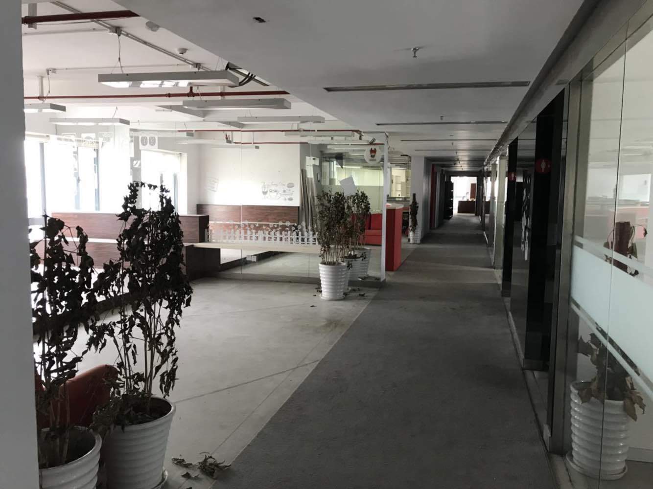 国盛中心普陀 国盛中心 110平米 精装修