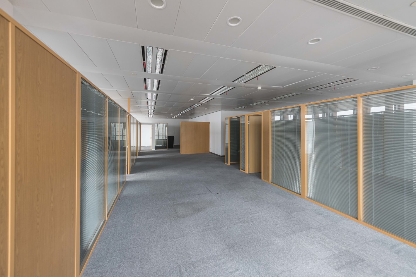 东方蓝海国际广场杨浦 东方蓝海国际广场 278平米 中等装修