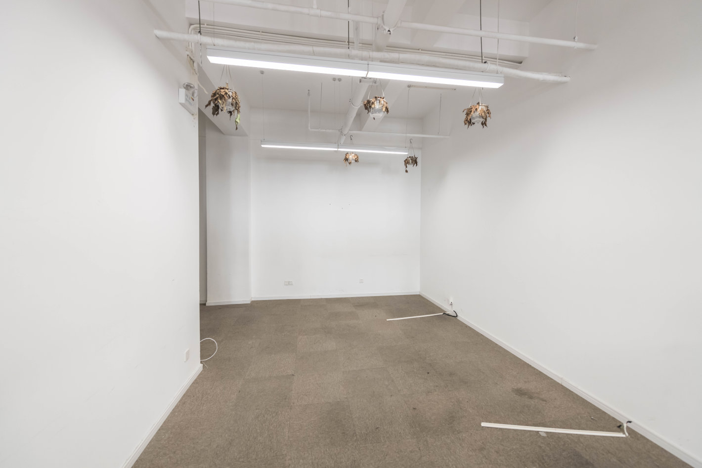 星汇广场二期杨浦 星汇广场二期 335平米 中等装修