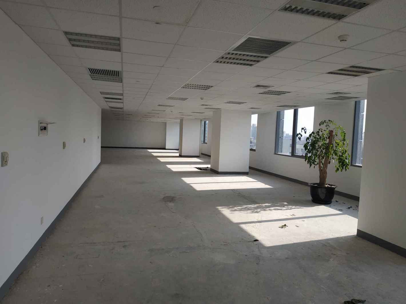 龙峰大厦994平米办公室出租-租金价格6.50元/m²/天
