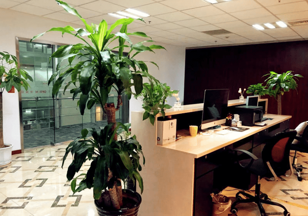 上海实业大厦徐汇 上海实业大厦 232平米 精装修