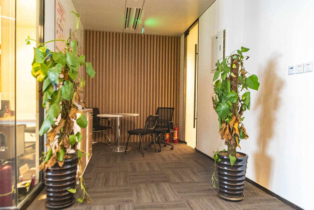 合生国际中心杨浦 合生国际中心 274平米 精装修