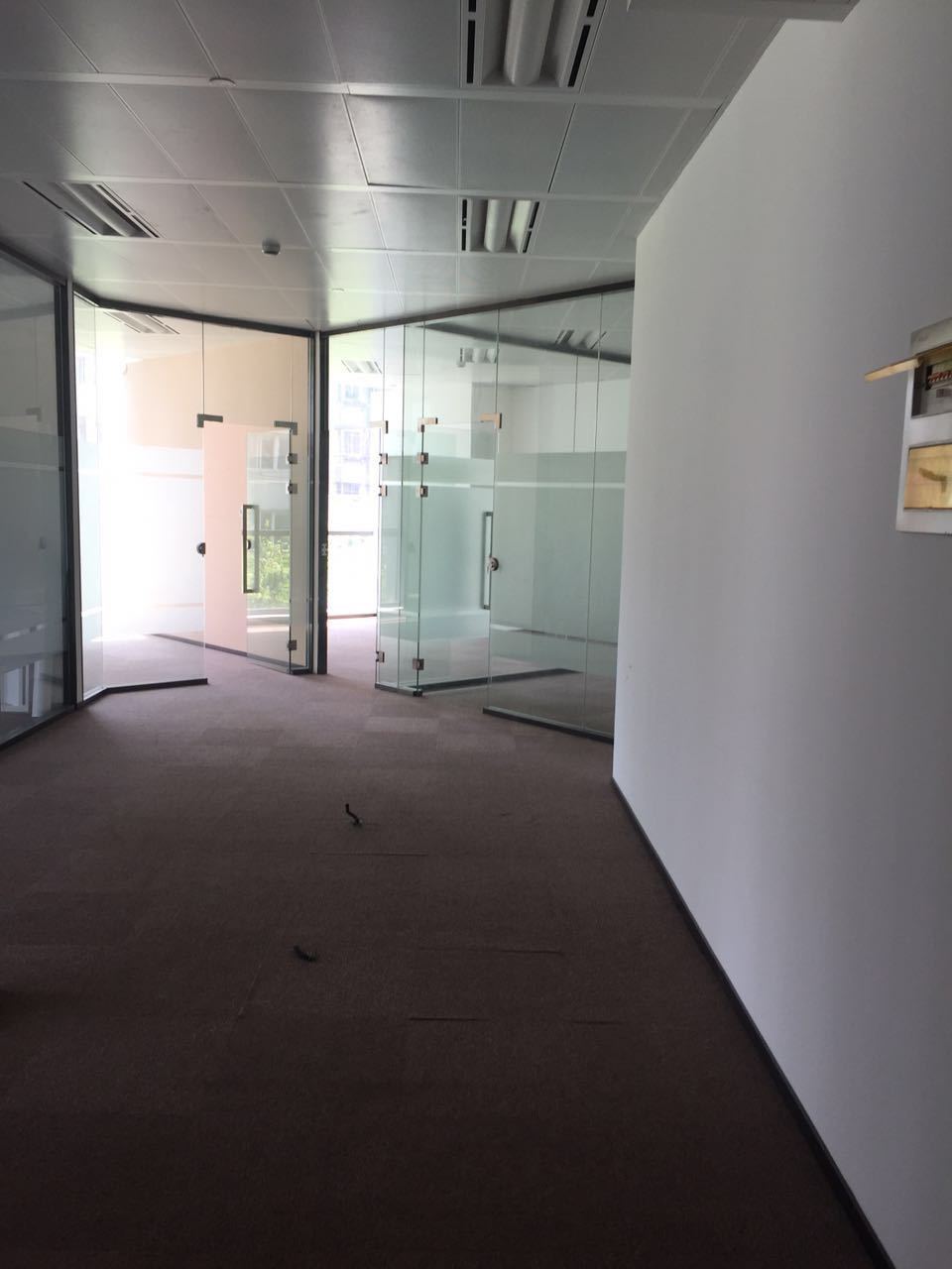 中城国际大厦徐汇 中城国际大厦 267平米 精装修