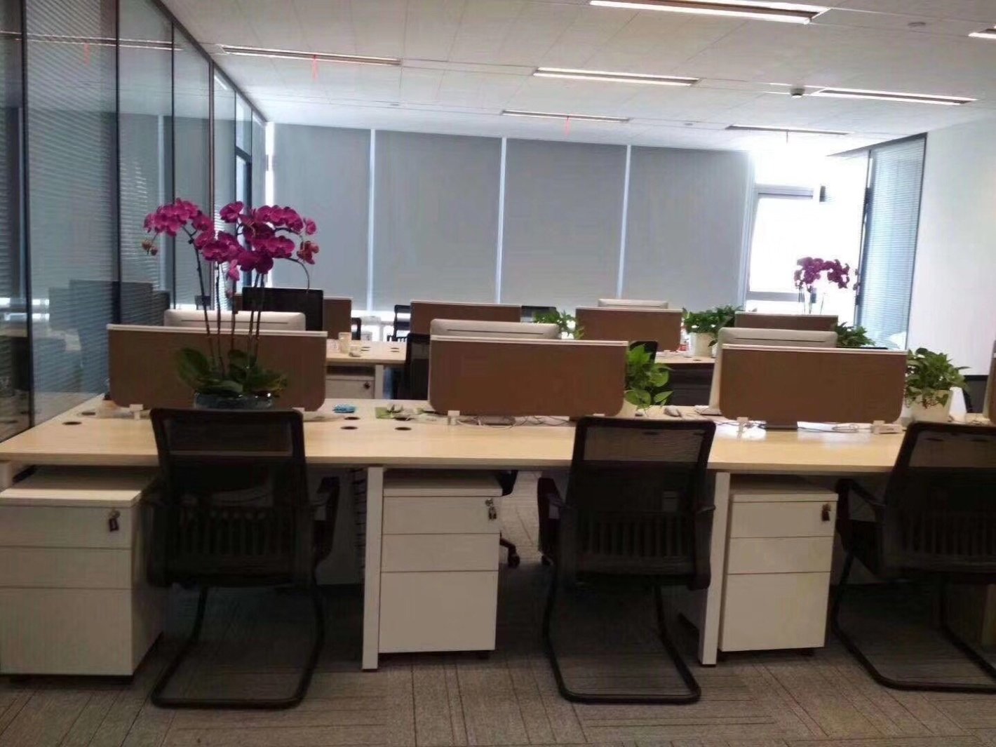 大宁中心广场静安 大宁中心广场 189平米 精装修