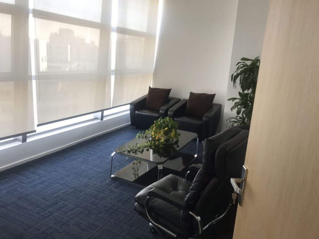 中城国际大厦徐汇 中城国际大厦 316平米 精装修