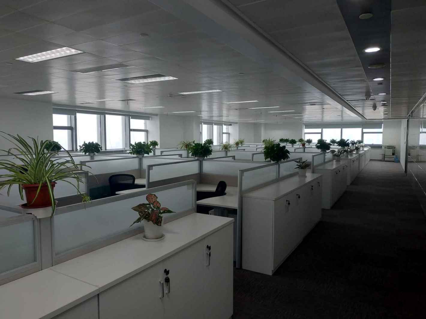 长城大厦普陀 长城大厦 411平米 精装修