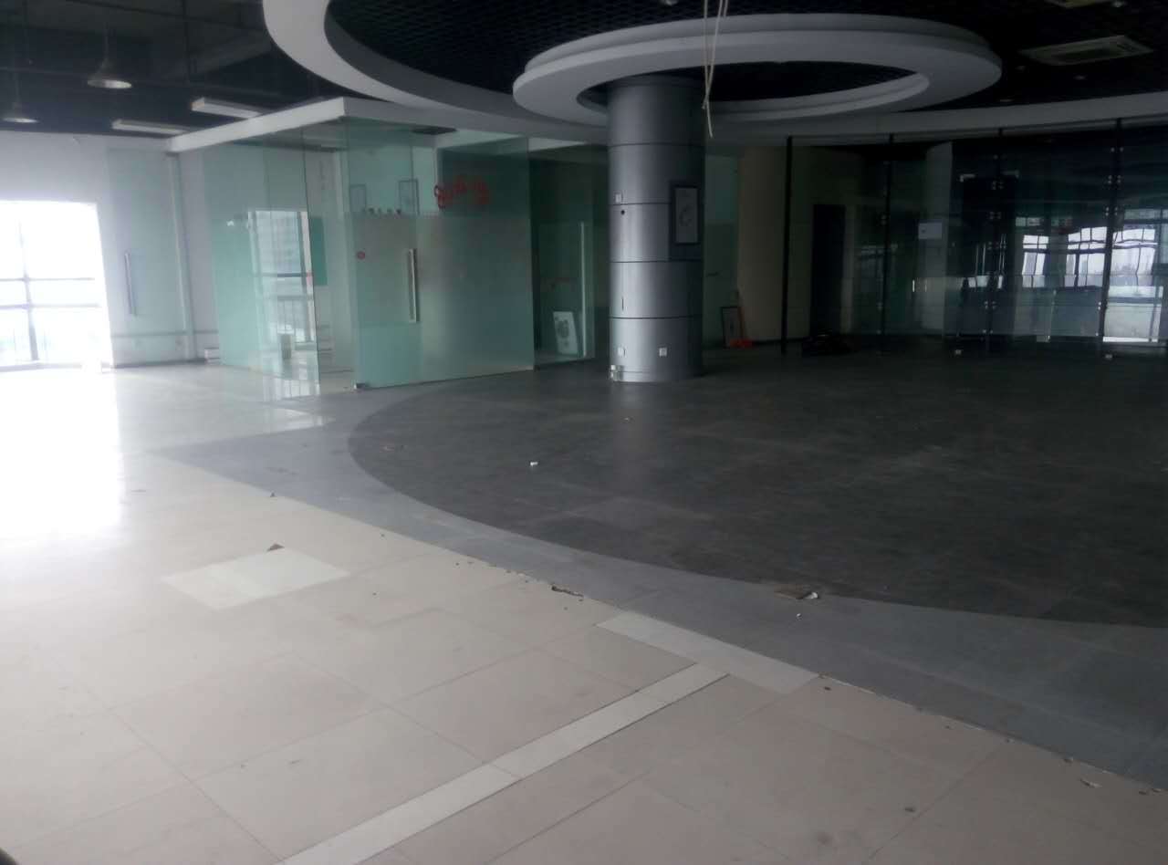 虹漕园徐汇 虹漕园 465平米 简装修