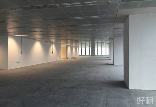 333世纪大厦浦东 333世纪大厦 395平米 简装修