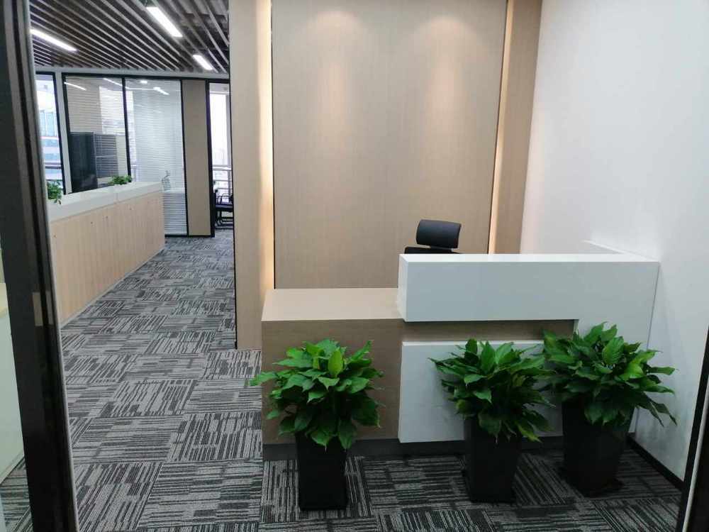 日月光中心黄浦 日月光中心 241平米 精装修