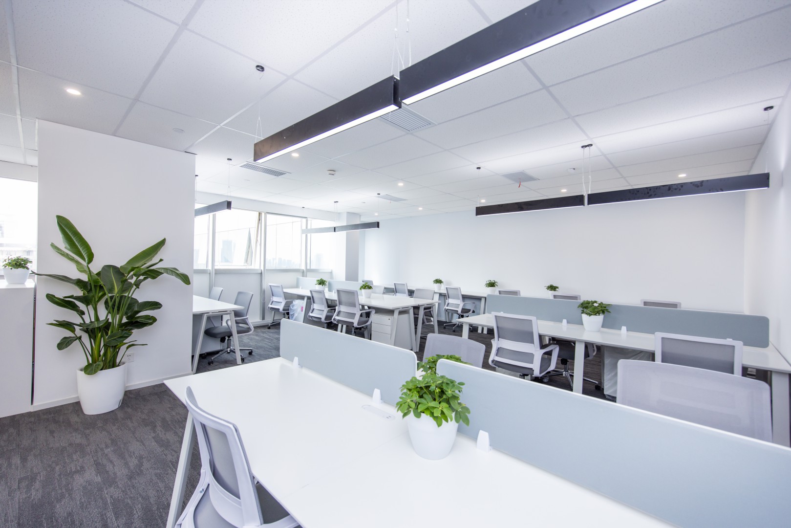 金钟广场黄浦 金钟广场 287平米 精装修