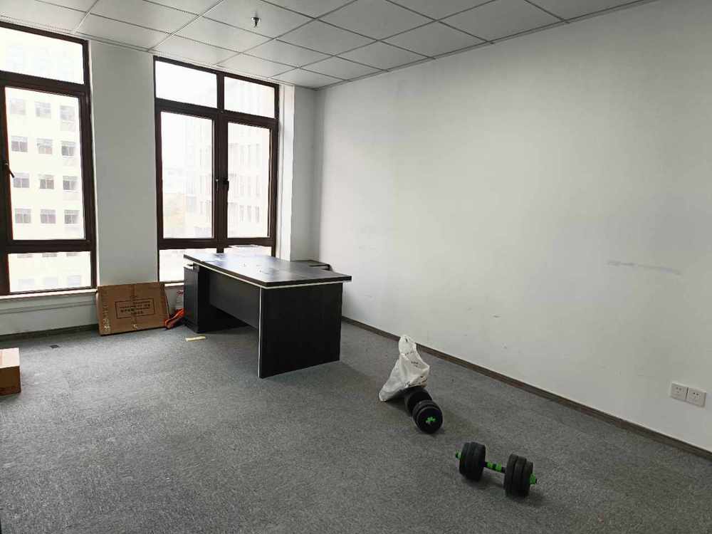 新雅智创园松江 新雅智创园 180平米 精装修